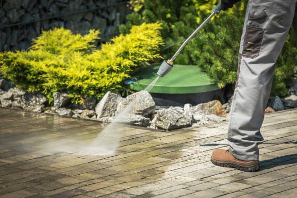 Best Rust Removal  in Coral Terrace, FL
