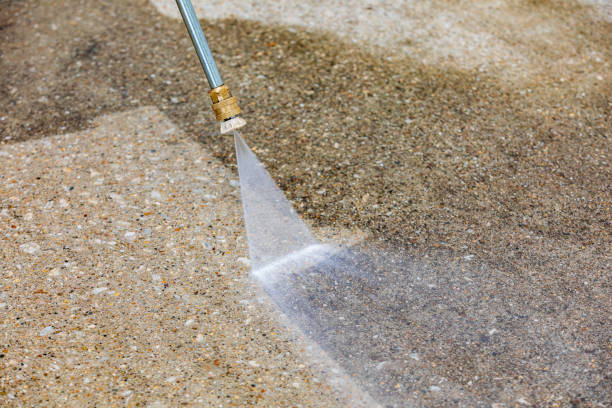 Best Driveway Pressure Washing  in Coral Terrace, FL