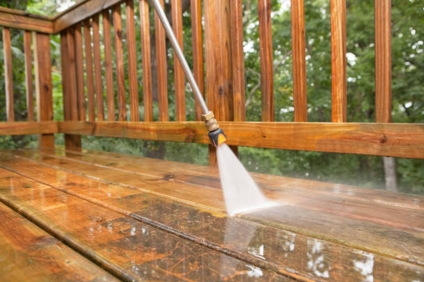 Animal Enclosure Cleaning in Coral Terrace, FL